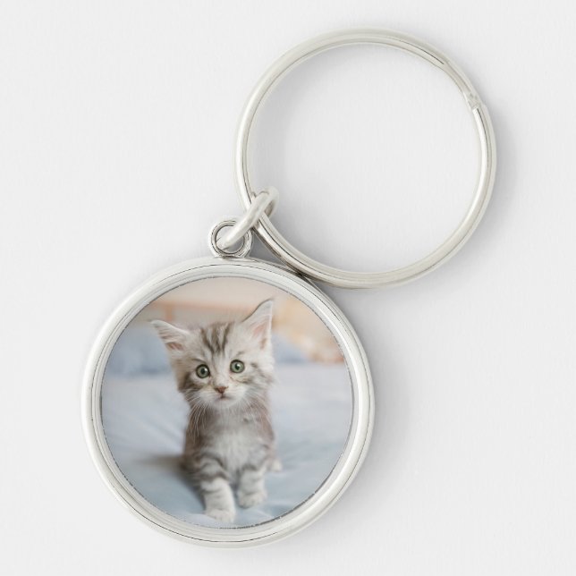 Maine Coon Kitten Key Ring (Front)