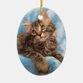Maine Coon Kitten Ornament
