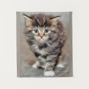 Maine Coon‎ Kitten Tapestry