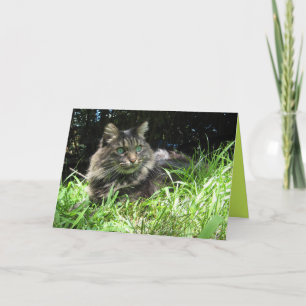 Maine Coon Kitty Cat Cute Customisable Card