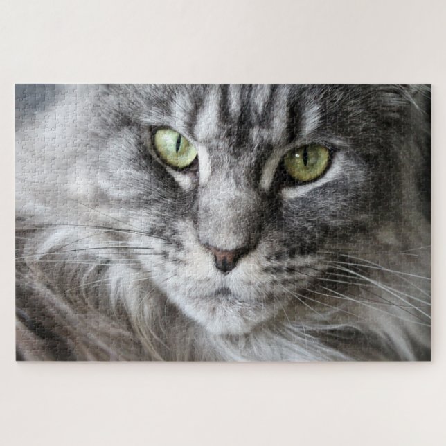 Maine Coon  Kitty Cat Cute Fun Animal Jigsaw Puzzle (Horizontal)