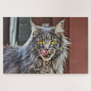 Maine Coon Kitty Cat Cute Fun Animal Jigsaw Puzzle