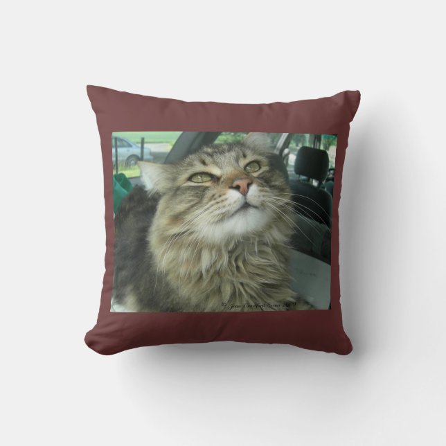 Maine Coon kitty Cushion (Front)