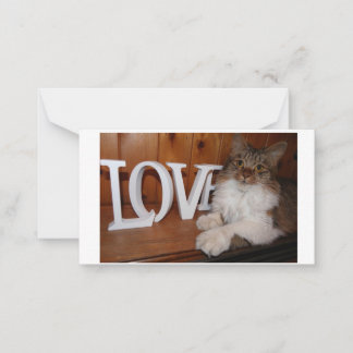 Maine coon love cat 3.5 x 2 card