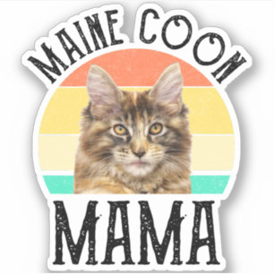Maine Coon Mama