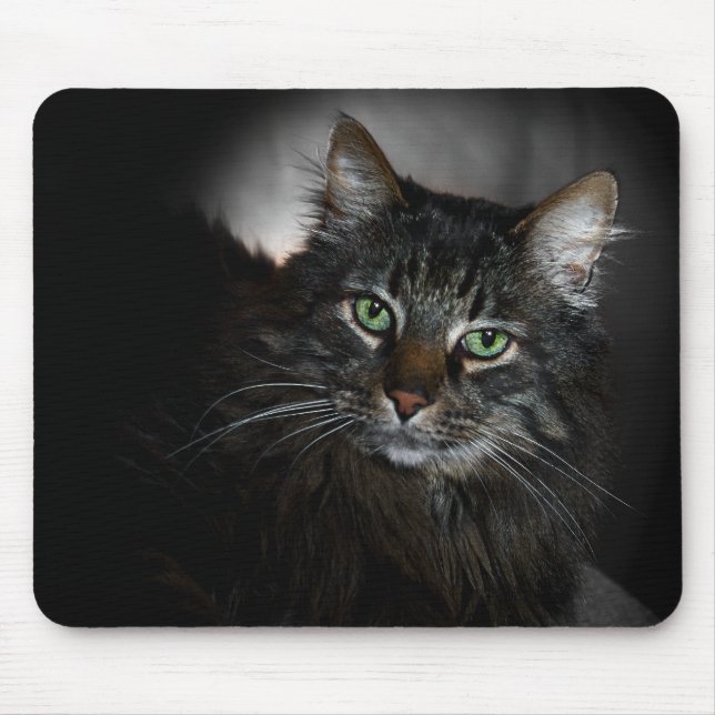 Maine Coon Mouse Pad (Front)