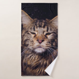 maine coon on a black background younganimal,cat,c bath towel