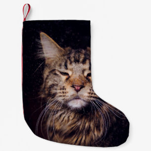 maine coon on a black background younganimal,cat,c small christmas stocking