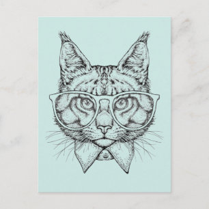 Maine Coon Portrait Postcard