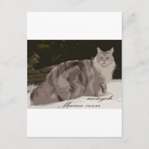 maine coon postcard