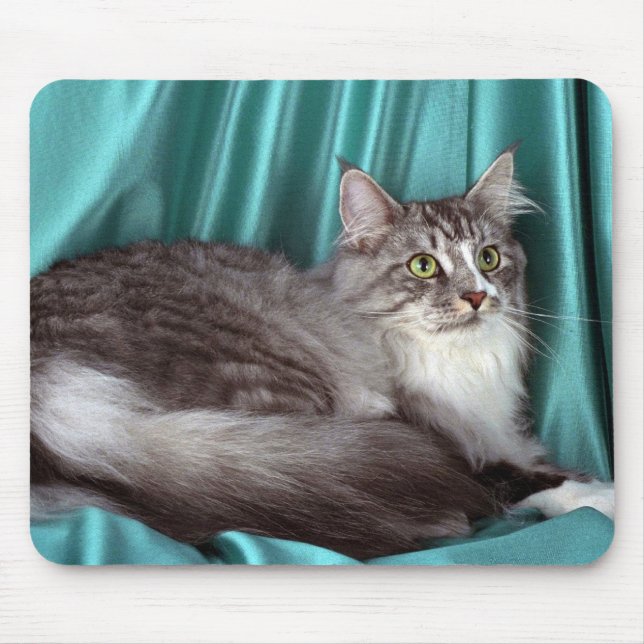 Maine Coon, silver tabby Mouse Pad (Front)