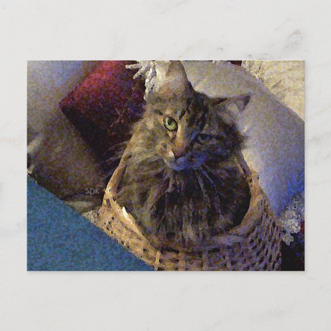 Maine Coon Tabby Cat Postcard (Front)