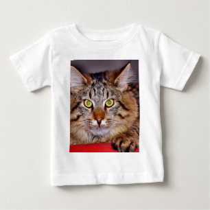 Maine-Coone Cat Baby T-Shirt