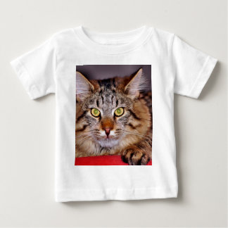 Maine-Coone Cat Baby T-Shirt