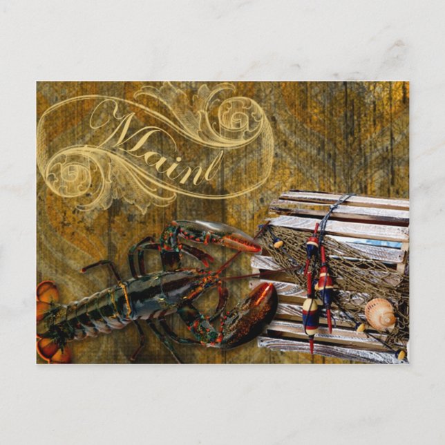 Maine grunge lobster postcard (Front)
