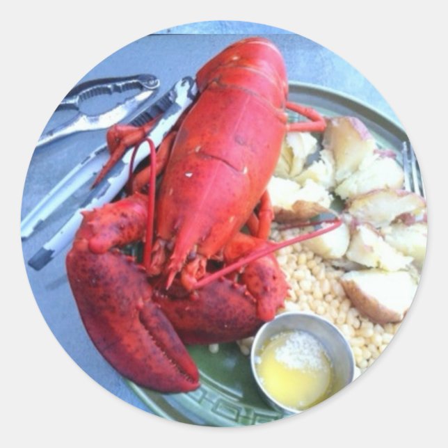 maine lobster sticker (Front)