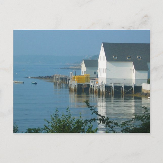 Maine Lobster Village Postcard (Front)