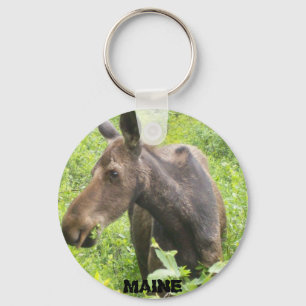 Maine Moose Keychain
