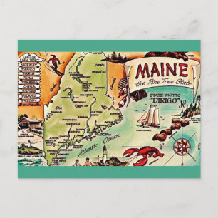 Maine - Pine Tree State Postcard