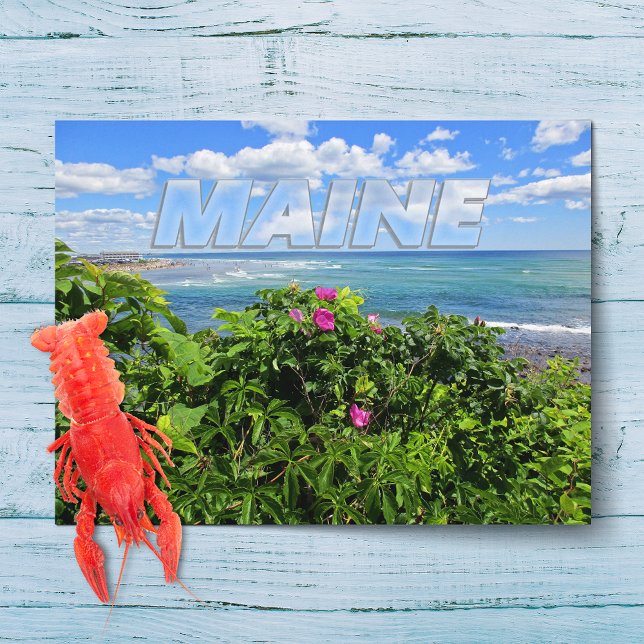 Maine Postcard (Creator Uploaded)