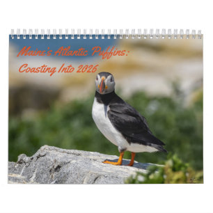 Maine’s Atlantic Puffins: Coasting Into 2026 Calendar