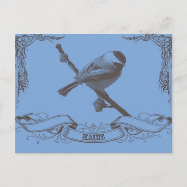 mainechickadee postcard (Front)