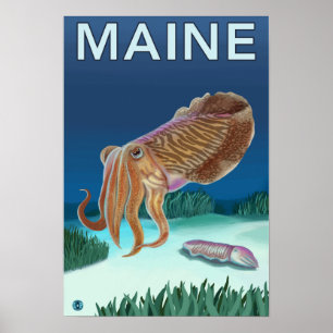 MaineCuttlefish Scene Poster
