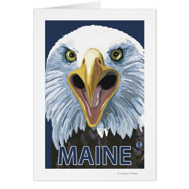MaineEagle Up Close (Front)