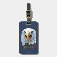 MaineEagle Up Close