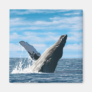 MaineHumpback Whale Scene Magnet