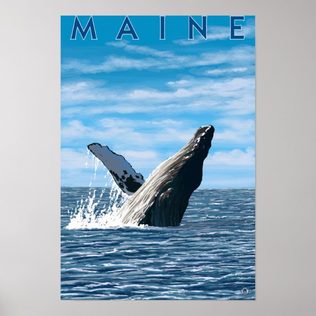 MaineHumpback Whale Scene Poster (Front)