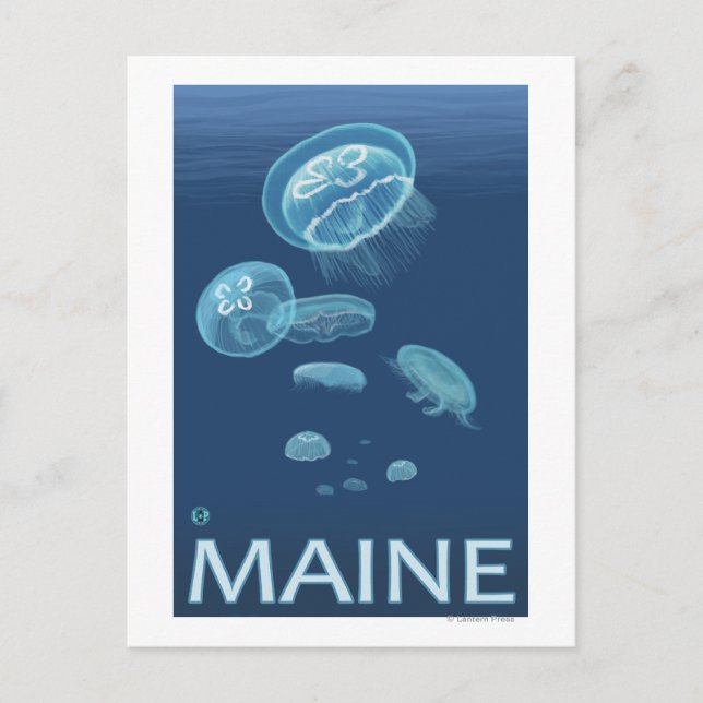 MaineJellyfish Scene Postcard (Front)