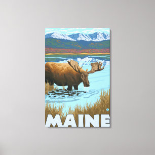 MaineMoose Drinking in Lake Canvas Print