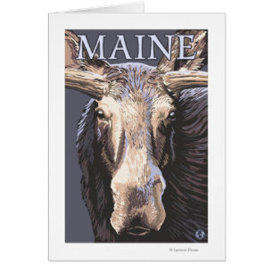 MaineMoose Up Close