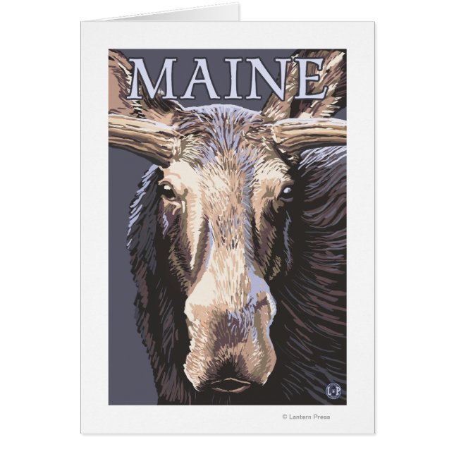 MaineMoose Up Close (Front)