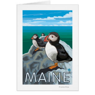 MainePuffins Scene