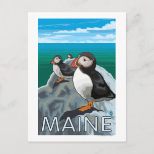 MainePuffins Scene Postcard