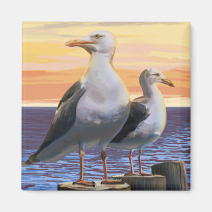 MaineSea Gulls Scene Magnet