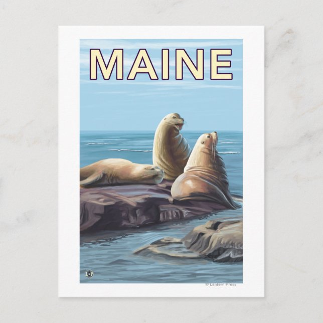 MaineSea Lions Scene Postcard (Front)