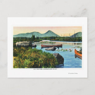 MaineSourdnahunk Valley Lily Pad Pond Scene Postcard