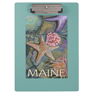 MaineTidepool Scene Clipboard