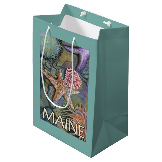 MaineTidepool Scene Medium Gift Bag (Front Angled)