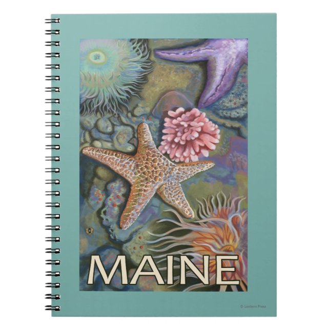 MaineTidepool Scene Spiral Notebook (Front)