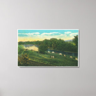MaineView of Cows Homeward Bound Canvas Print