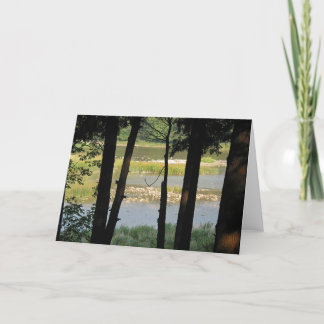 Maitland River View Card