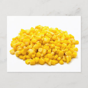 Maize kernels postcard