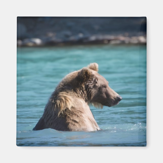 Majestic Alaskan Brown Bear Magnet (Front)