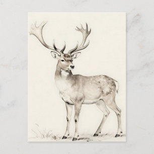 Majestic Antlered Deer Sketch Postcard