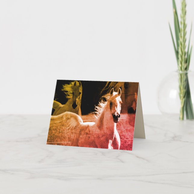 Majestic Arabian Stallion Note Card (Front)