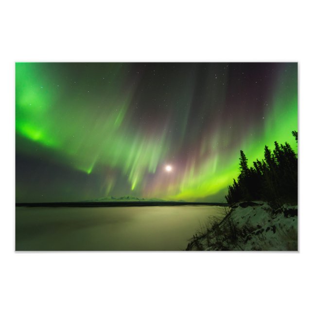 Majestic Aurora Photo Print (Front)